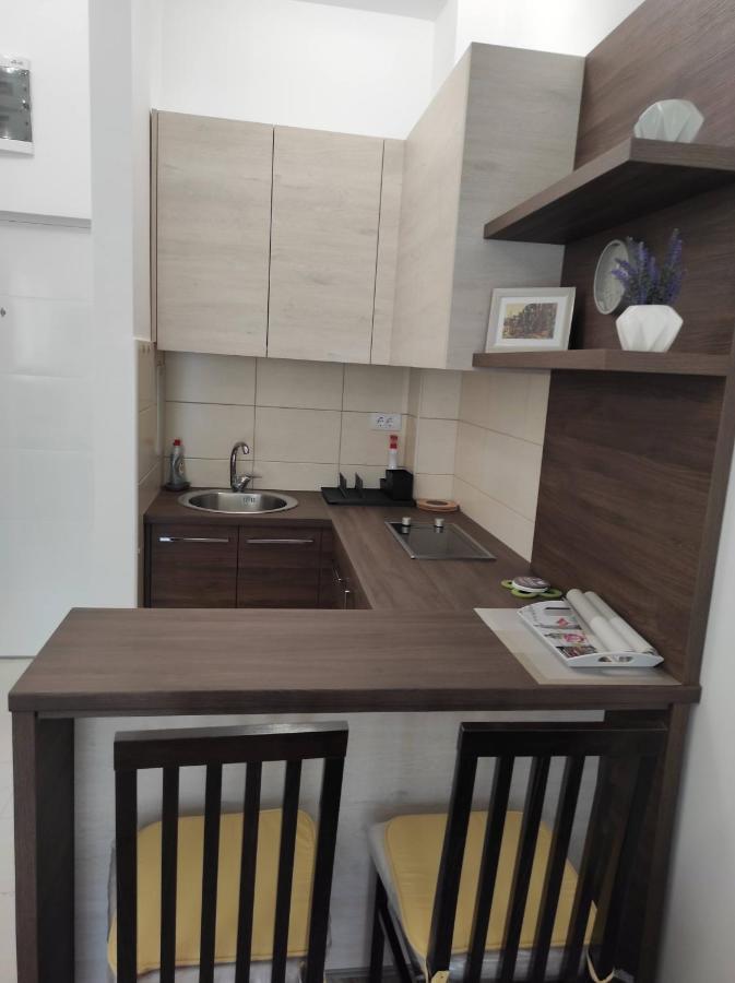 Studio Apartman Dani Banja Koviljača Eksteriør billede