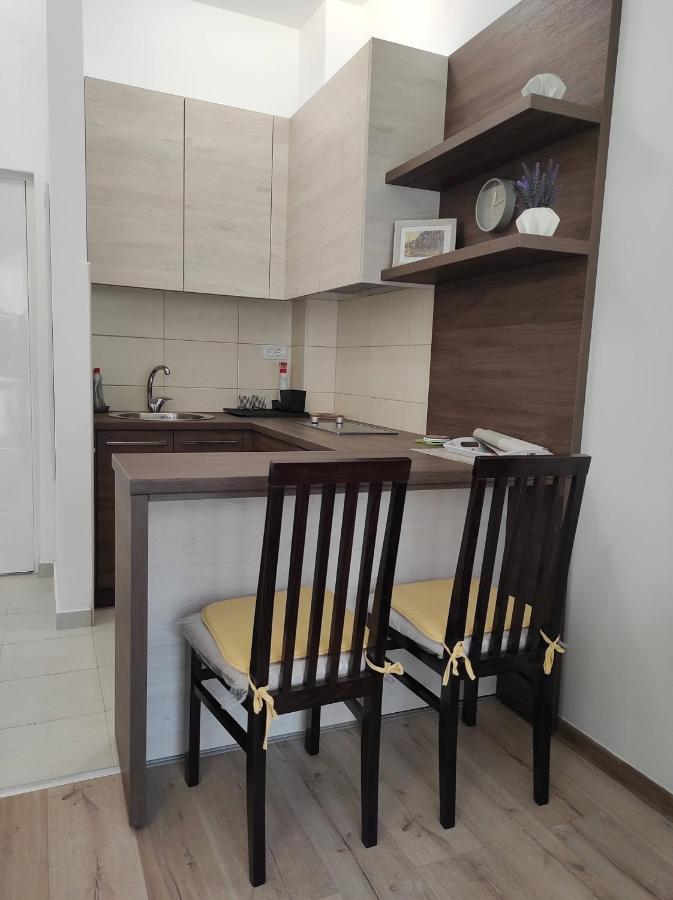 Studio Apartman Dani Banja Koviljača Eksteriør billede
